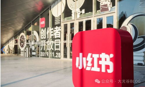 小红书武汉公司迁址更名 战略调整背后的电视节目制作经营布局